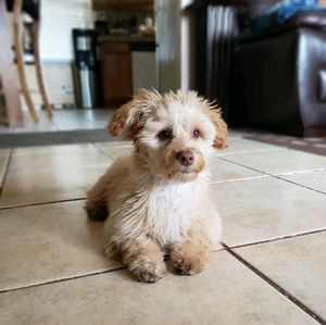 Meet your Posher, Eileen